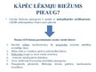 Prezentācija 'Epilepsija grūtniecēm', 7.