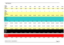 Biznesa plāns 'Financial Plan for Start-up Company', 28.