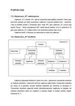 Referāts '"N" uzņēmuma kultūras analīze', 36.