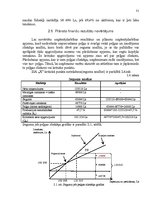 Biznesa plāns 'Biznesa plāns mazumtirdzniecības veikalam', 31.