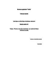 Referāts 'Preiļu novada kultūras un sabiedrības raksturojums', 1.