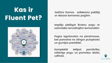 Prezentācija 'Inovatīva produkta virzīšana Fluent Pet', 2.