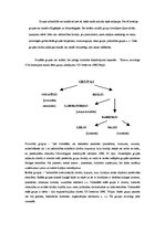 Referāts 'Organizācijas/sociālās grupas raksturojums pēc pazīmēm', 3.