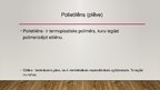 Prezentācija 'Cietie polimerizācijas  un polikondensācijas dielektriķi', 7.