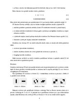Referāts 'Šūnu automātu pētījums uz četrstūru un sešstūru laukumiem', 11.