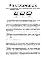 Referāts 'Šūnu automātu pētījums uz četrstūru un sešstūru laukumiem', 13.