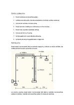 Referāts 'Statiski nenoteicama rāmja aprēķins ar spēku metodi', 2.