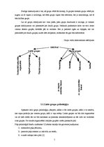 Referāts 'Grupu psiholoģija, konflikti, fenomeni, sadarbība', 5.