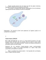 Konspekts 'Cell Membrane Transport', 3.