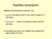 Prezentācija 'Īstermiņa vai ilgtermiņa kuponi: izlietošanas datuma ietekme uz akcijas izdevīgu', 25.