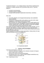 Referāts 'Rehabilitācijas iespējas pēc mugurkaula lejasdaļas diska trūces', 11.