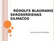 Prezentācija 'Luga "Skroderdienas Silmačos"', 1.