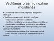 Prezentācija 'Vadīšanas prasmes', 5.