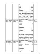 Referāts 'Izveides pamatojums un attīstības iespējas viesu namā "Koldessele"', 22.