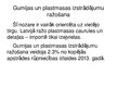 Prezentācija 'Gumijas un plastmasas izstrādājumu ražošana', 2.