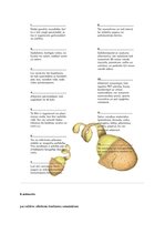 Paraugs 'Kā pareizi šķirot atkritumus', 3.