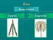 Prezentācija 'Семейство крестоцветные', 4.