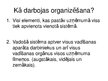 Prezentācija 'Vadīšanas funkcija - organizēšana', 7.