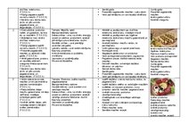 Konspekts 'Tematiskais plāns mācību priekšmetā "Dizains un tehnoloģijas" 2. klase', 3.