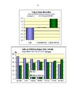 Diplomdarbs 'A/s "Cido" darbības analīze, perspektīvas, tendences un dinamika', 85.