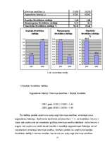 Referāts 'SIA "X" finansiālās darbības analīze', 21.