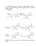 Referāts 'Fludarabīna farmakoloģiskās īpašības un sintēze', 16.