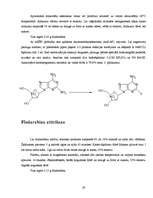 Referāts 'Fludarabīna farmakoloģiskās īpašības un sintēze', 28.