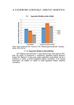 Referāts 'Gaļas nozares uzņēmumu finanšu novērtējums laikā no 2019.gada līdz 2021.gadam', 22.