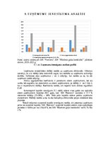 Referāts 'Gaļas nozares uzņēmumu finanšu novērtējums laikā no 2019.gada līdz 2021.gadam', 29.