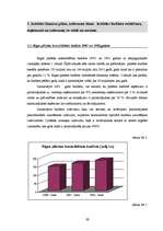 Prakses atskaite 'Prakses atskaite Rīgas Domes finanšu departamentā', 39.