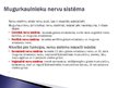 Prezentācija 'Cilvēka nervu sistēma', 3.