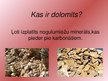 Prezentācija 'Dolomītu atsegumi Lielupes krastā', 4.