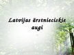 Prezentācija 'Latvijas ārstniecības augi', 1.