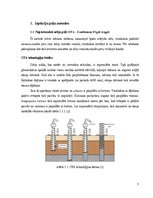 Referāts 'Injekciju pāļu tehnoloģijas', 5.