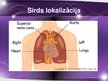 Prezentācija 'Sirds un asinsvadu sistēmas anatomija, asins sastāvs', 6.