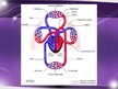 Prezentācija 'Sirds un asinsvadu sistēmas anatomija, asins sastāvs', 23.