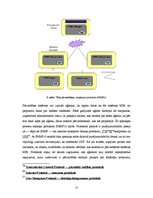 Referāts 'Tīkla pārvaldības programmas', 15.