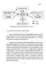 Referāts 'Sabiedrības izglītošana atkritumu šķirošanas jomā', 5.