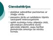 Prezentācija 'Biodegviela no modificētām cianobaktērijām', 2.