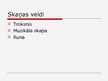 Prezentācija 'Skaņa un tās veidi', 10.