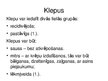 Prezentācija 'Simptoms - klepus', 3.