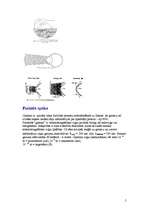 Referāts 'Optometrija', 5.