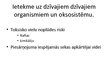 Referāts 'Toksisko kravu pārvadāšana, šo ķimikāliju iespējamā ietekme uz dzīvajiem organis', 21.