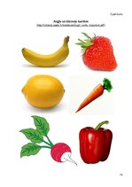 Diplomdarbs 'Veselīgs dzīvesveids” apguve dabaszinībās 3. klasē', 76.