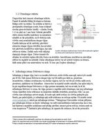 Eseja 'Viļņu fizika un skaņa medicīnā. Ultraskaņa un infraskaņa medicīniskajā diagnosti', 4.