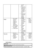 Prakses atskaite 'Pirmsskolas skolotāja pedagoģiskā prakse pirmsskolas izglītības iestādē “x”', 22.