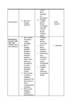 Prakses atskaite 'Pirmsskolas skolotāja pedagoģiskā prakse pirmsskolas izglītības iestādē “x”', 24.