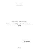 Referāts 'Uzņēmuma finanšu analīze un lēmumu pieņemšanas process', 1.