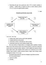 Diplomdarbs 'Hipotekārā kredīta attīstība Latvijā un ārzemēs pasaules krīzes apstākļos', 21.