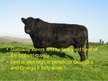 Prezentācija 'Characterization of Beef Cattle Breeds', 6.